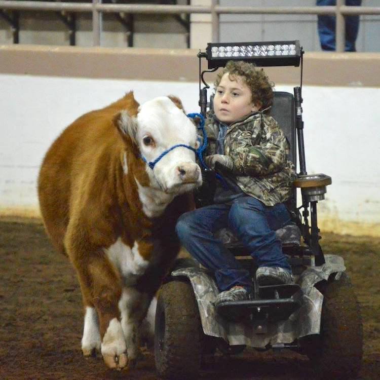 ABAC Young Farmers host 4th Annual Cattle Show